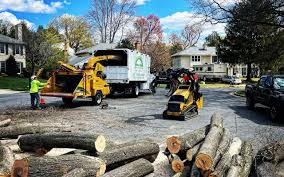 Best Commercial Tree Services  in Harbor Isle, NY