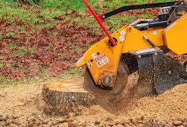 Trusted Harbor Isle, NY Tree Removal Experts