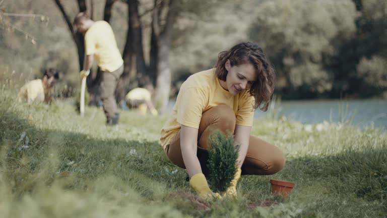 Best Lawn Mowing  in Harbor Isle, NY